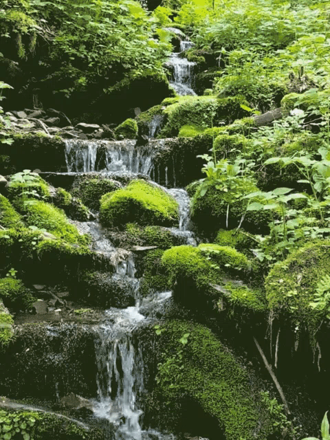 waterfall-stream.gif
